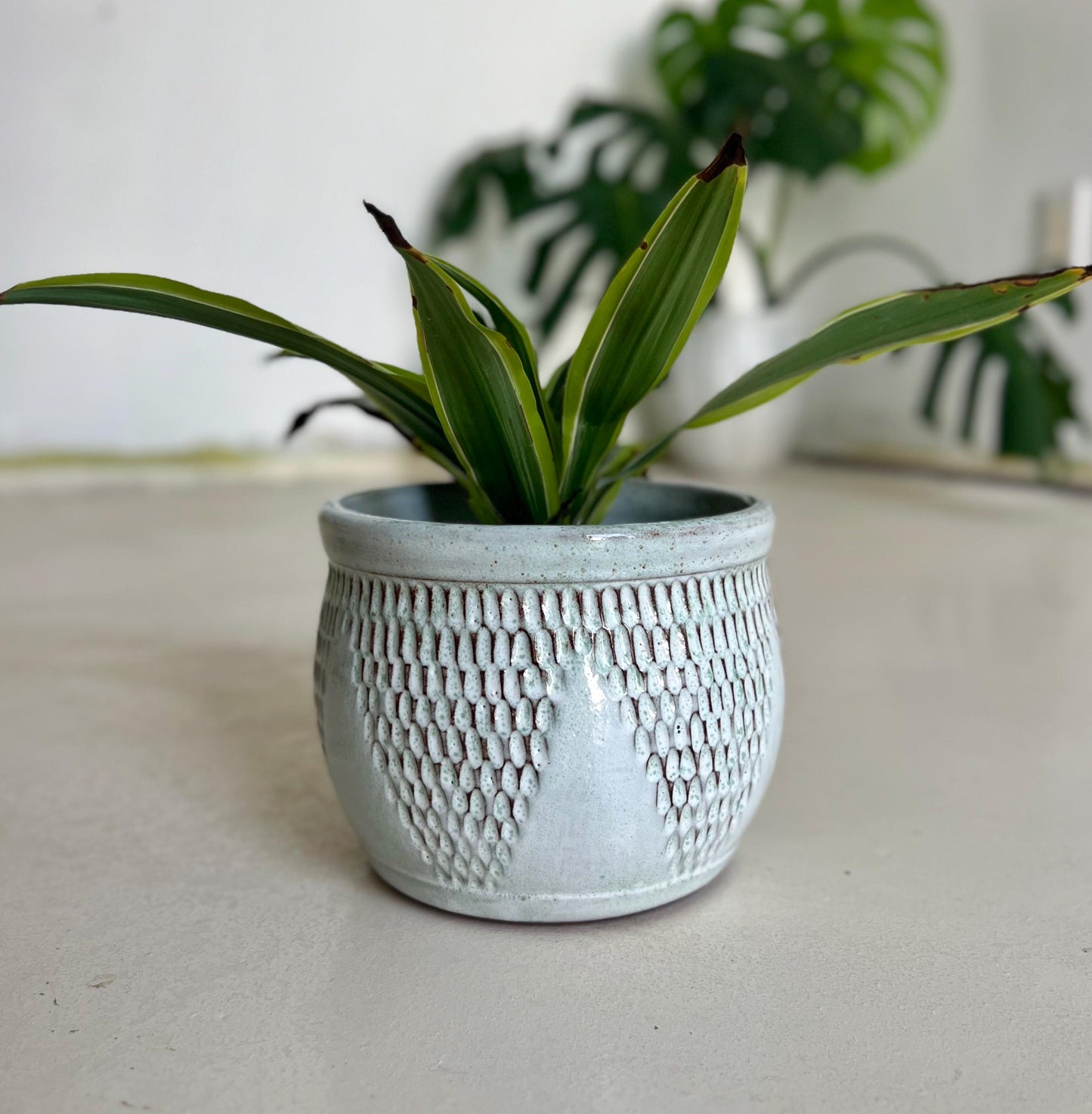 Aqua Scalloped Ceramic Planter 6 inch