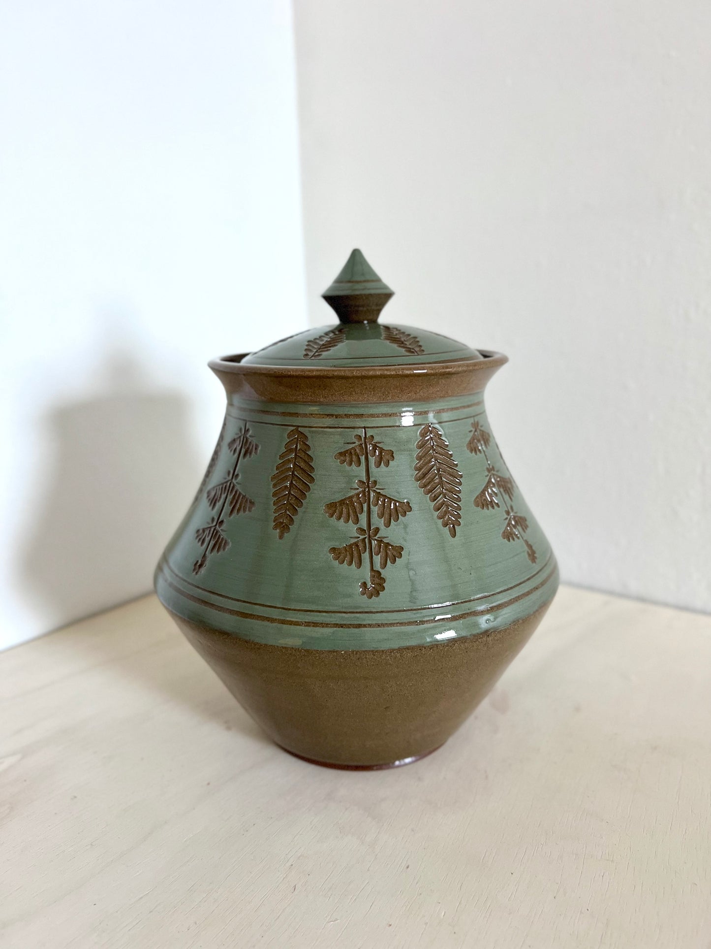 Handcrafted Teal Ceramic Jar – Maiden Fern-Inspired Storage & Décor