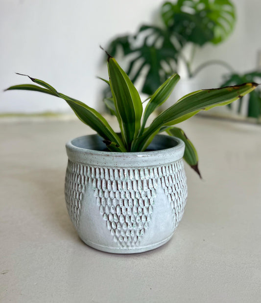 Aqua Scalloped Ceramic Planter 6 inch